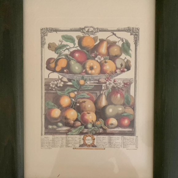 Set of 4 Vintage Arthur Kaplan Flower Prints Framed - Like New - Picture 4 of 5